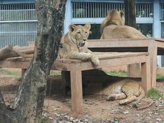-昆明动物园