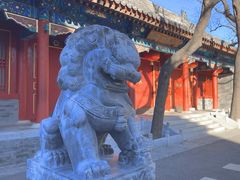 -北京第二实验小学