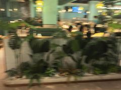 -春润大地海南椰子鸡(沙井京基百纳广场店)