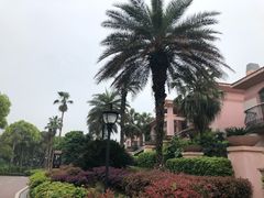 -圣爵菲斯大酒店(长沙世界之窗店)