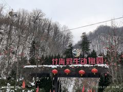 -栾川竹海野生动物园
