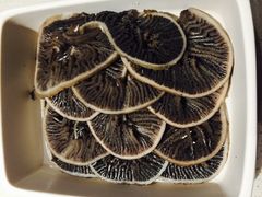 -海底捞火锅(亲子主题北金鹰店)