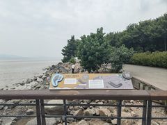 -深圳湾公园(南山区)