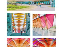 -江门古劳水乡旅游区