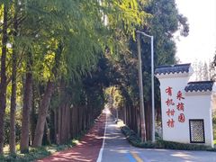 -上海长兴岛郊野公园
