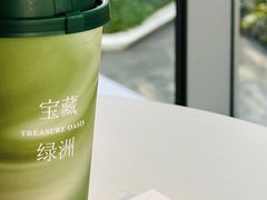 -宝藏绿洲(万象前海店)