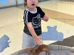 -东莞君尚