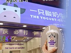 -一只酸奶牛(八一路店)