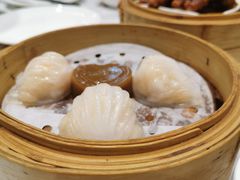 -赏点粤式点心(广州塔店)