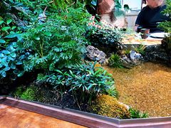 -森味薪火烧•烧鸟居酒屋•日本料理(望京店)