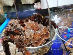 -79号渔船海鲜饭店(华强北店)