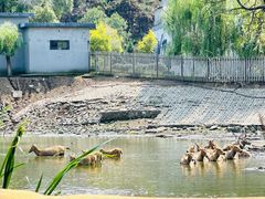 -沈阳森林动物园