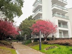 -苏州香山国际大酒店