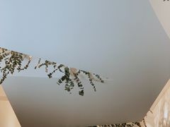 -尤加利咖啡馆