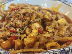 -龙翔山庄雷鸡肉(青城后山泰安古镇店)