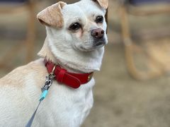 -J Create城市露营咖啡·简餐·宠物(上海动物园店)