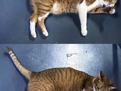 -蓝天射箭馆·专业射箭运动(诚丰广场店)