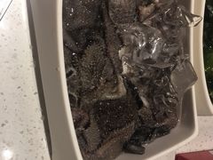 捞派毛肚-海底捞火锅(高科广场店)