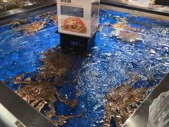 -盒马鲜生(和谐广场店)