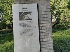 -神仙树公园