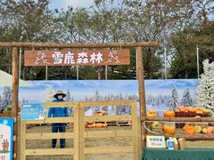-盈香心动乐园