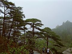 -天柱山风景区