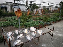 景观位-钟叔烩鸡