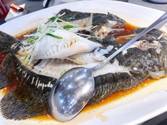 清蒸多宝鱼-海鲜e族(马王堆店)