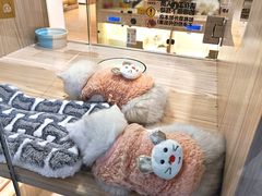 -屋虎猫馆(宝安大仟里店)