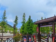 -大围山国家森林公园