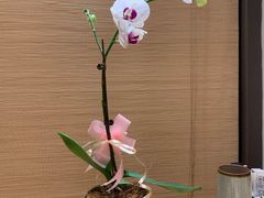 -一石三鸟烧鸟居酒屋(南桥美谷店)