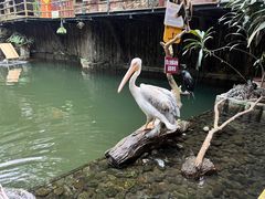 -海南槟榔谷黎苗文化旅游区
