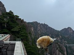 -黄山玉屏楼宾馆餐厅