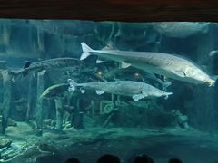 -华夏文旅西安度假区