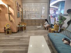 -BABIT巴比特宠物(MOMOPARK店)