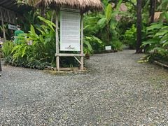 -大象粑粑造纸公园