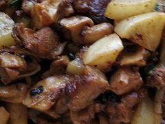 -九多肉多(唐宫路店)