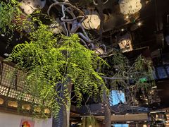 -桂满陇·海市蜃楼·黑金(国金店)