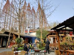 -青城甲(青城山店)