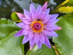 -潜山国家森林公园