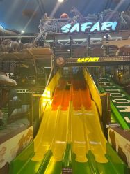 -卡通尼·Safari非洲探索乐园·生日会(金桥国际商业广场店)