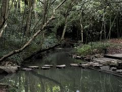 -兰亭风景区