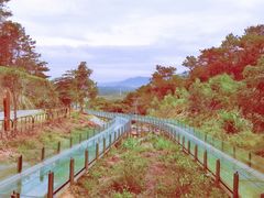 -牛鱼嘴原始生态风景区