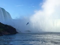 -尼亚加拉瀑布州立公园
