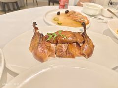 -圆苑(静安寺店)