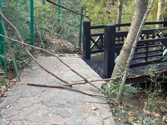 -白马涧龙池景区