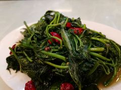 清炒苕尖-廖老妈蹄花店(人民公园陕西街259号店)