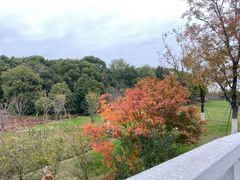 -昆山城市生态森林公园