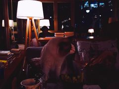 -咖法森林·咖啡  酒吧(天河店)