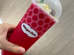 -哈根达斯(武汉天地店)